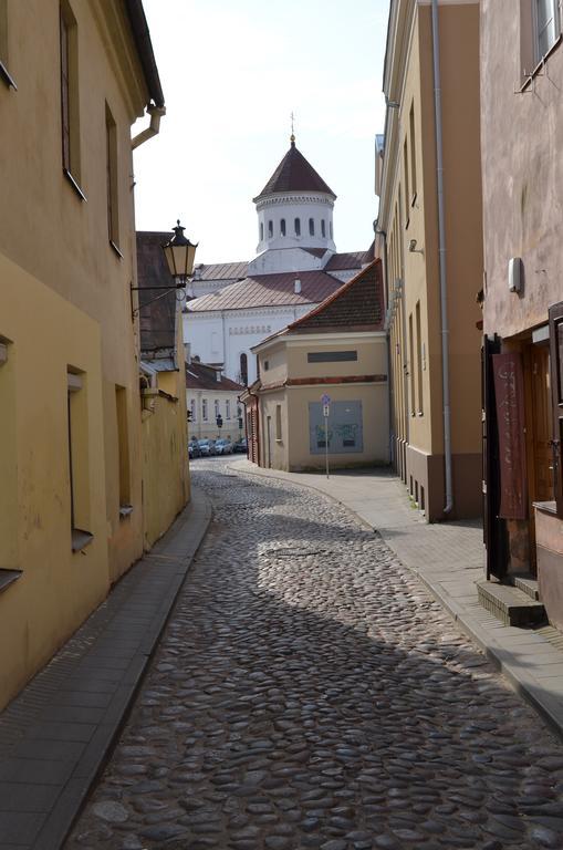 Sofijos Studio Old Town Daire Vilnius Dış mekan fotoğraf