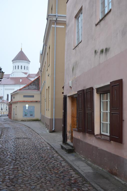 Sofijos Studio Old Town Daire Vilnius Dış mekan fotoğraf